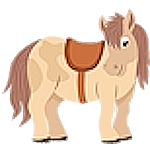 pony